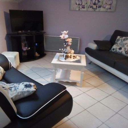 La Belle Endormie - Appartement A Fenetrange Exteriér fotografie