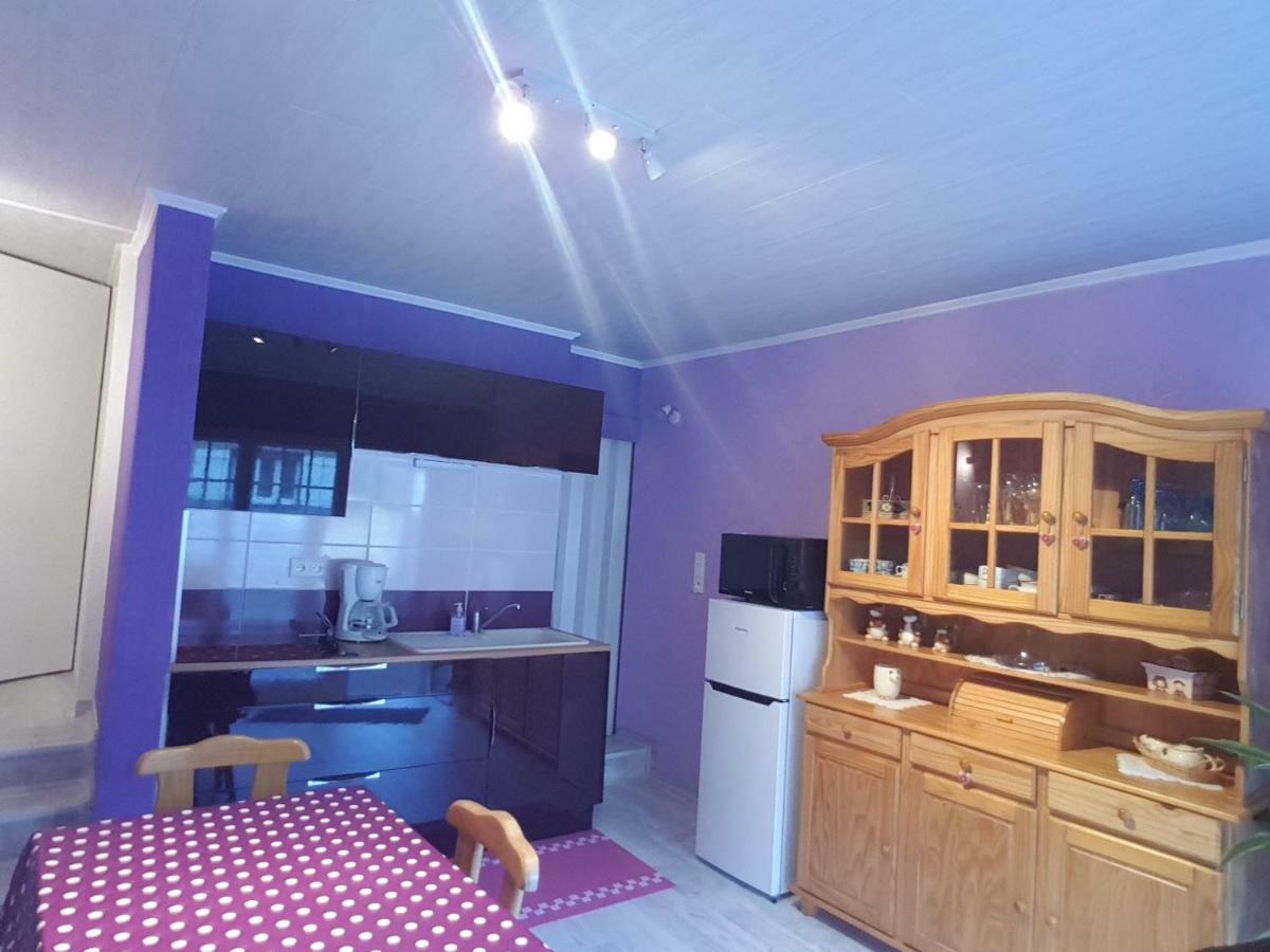 La Belle Endormie - Appartement A Fenetrange Exteriér fotografie